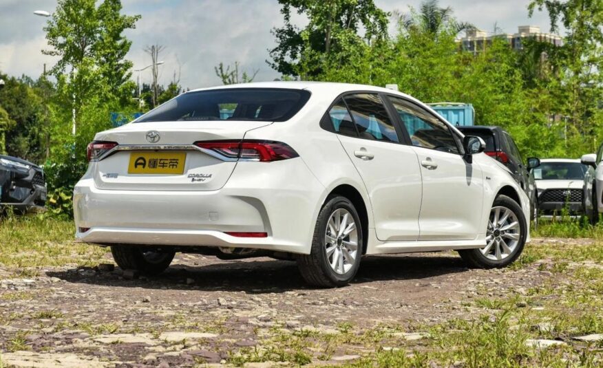 Best auto showroom Dubai Pegasus