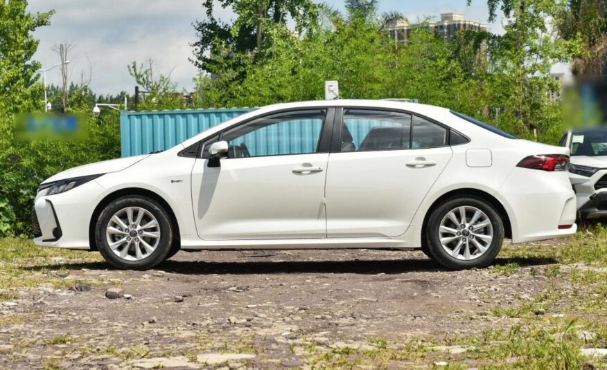 Affordable car export UAE