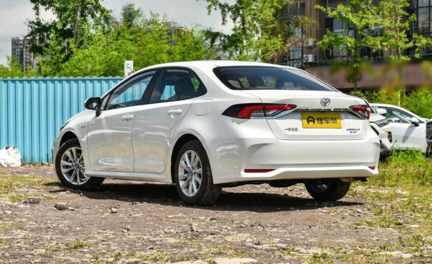 Export premium cars from UAE