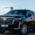 Buy MG Cars
